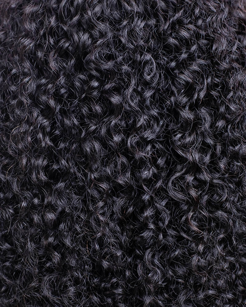 Burmese curly 13x4 HD lace wig